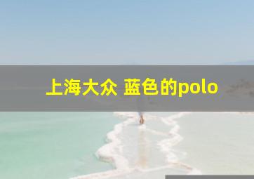 上海大众 蓝色的polo